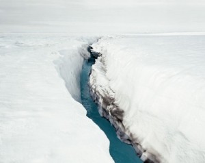 The white world of the north is a world foreign to man.