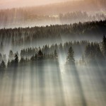 How to capture light. (BoguslawStrempel4).
