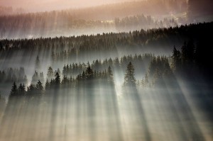 How to capture light. (BoguslawStrempel4).