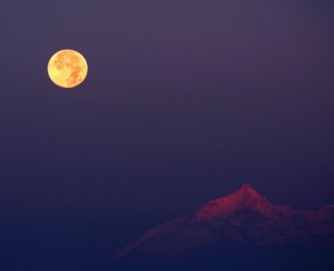 Lunar lunch anyone?