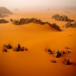 Meet me in the desert.