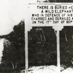 Bravery of all kinds...