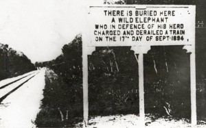 Bravery of all kinds...