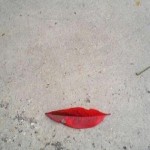 Kiss it.