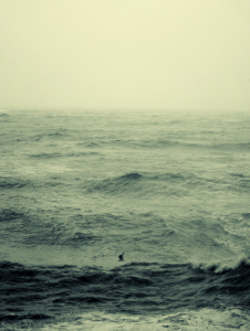 My master, the sea.