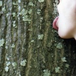 Tree hugging is for kids.