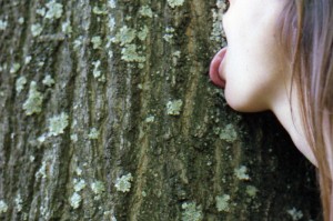 Tree hugging is for kids.
