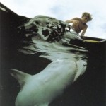 sharky waters