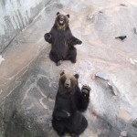 Oh hello!