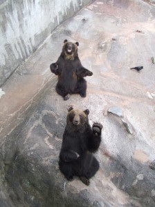Oh hello!