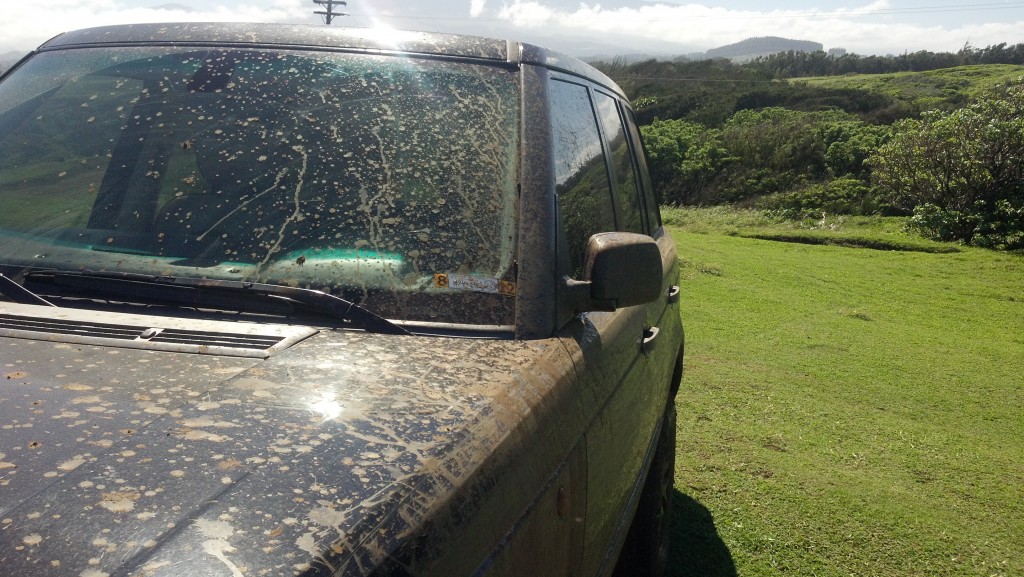 Notice how high the mud flew onto the truck!