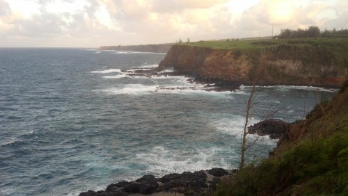 View from the Lighthouse looking up the coast towards Jaws.