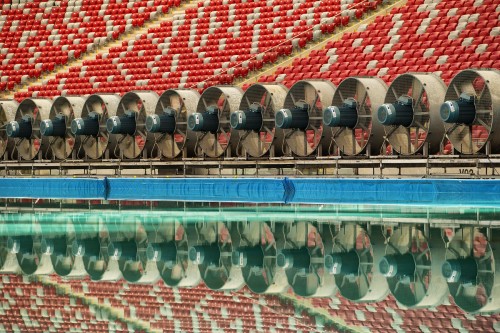 Fans in Stadium